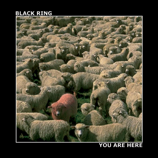 You Are Here cover