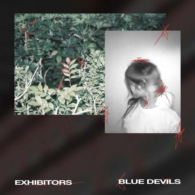 Blue Devils cover art