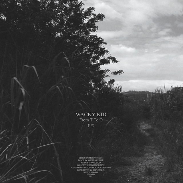 From T To O cover art