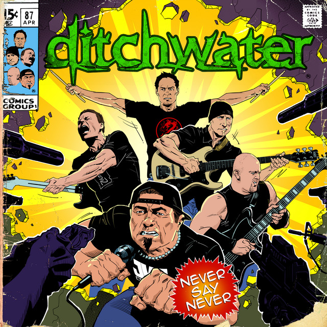 Never Say Never cover art