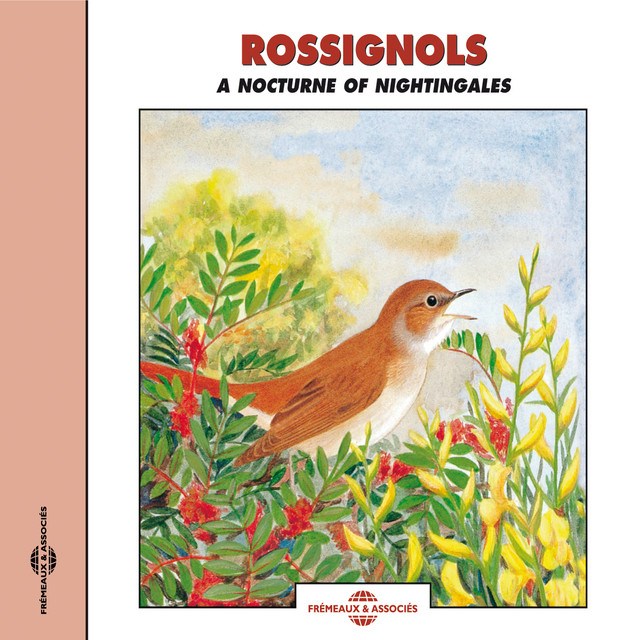 Rossignols