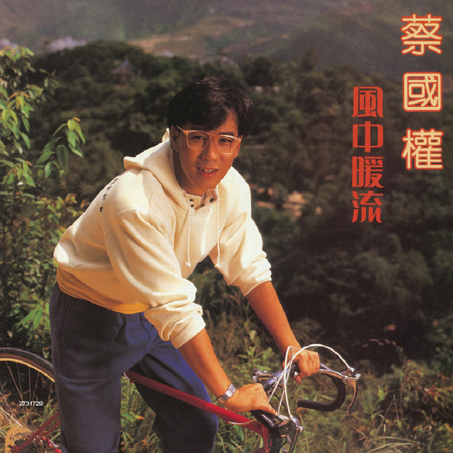 風中暖流 cover