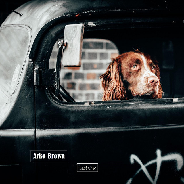 Ark Brown Photo