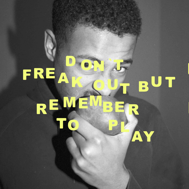 Don't Freak Out But Remember To Play cover art
