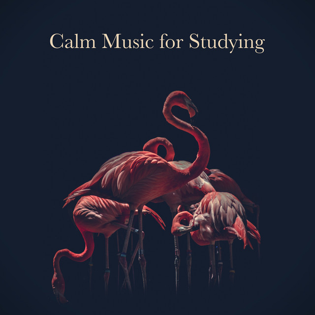 Calm Music for Studying cover art