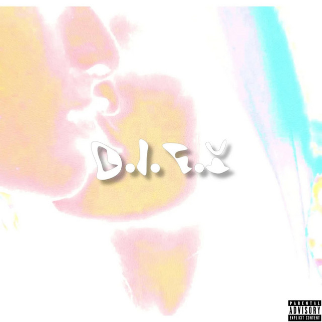 D.I.F.Y cover art