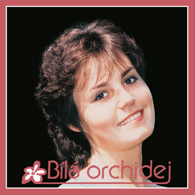 Bílá orchidej