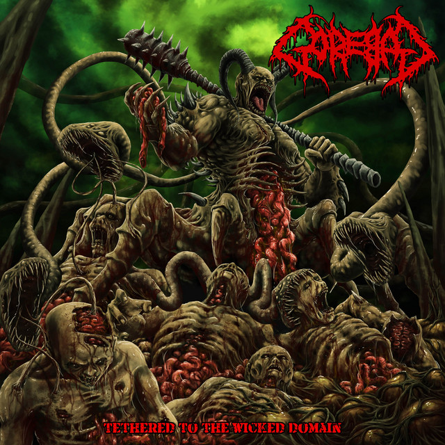 Tethered to the Wicked Domain cover