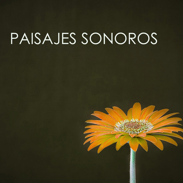 Paisajes Sonoros - Música Relajante con Sonidos Naturales para Sanar el Alma cover art