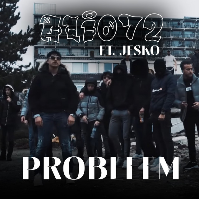 Probleem cover art