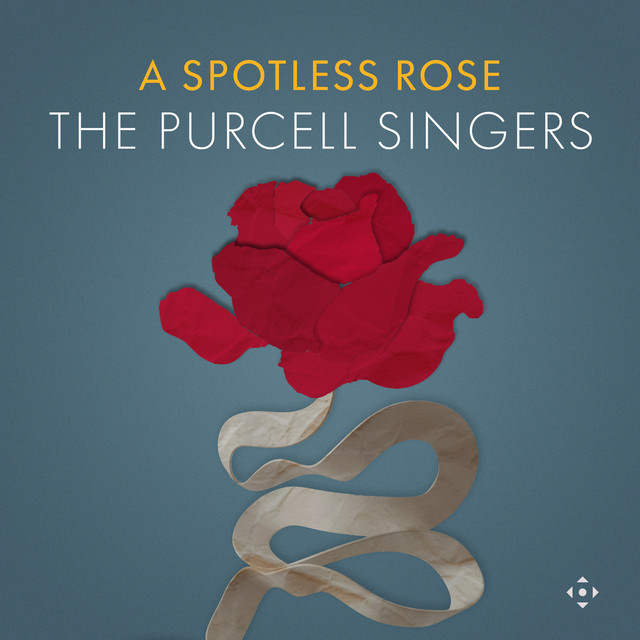 A Spotless Rose cover