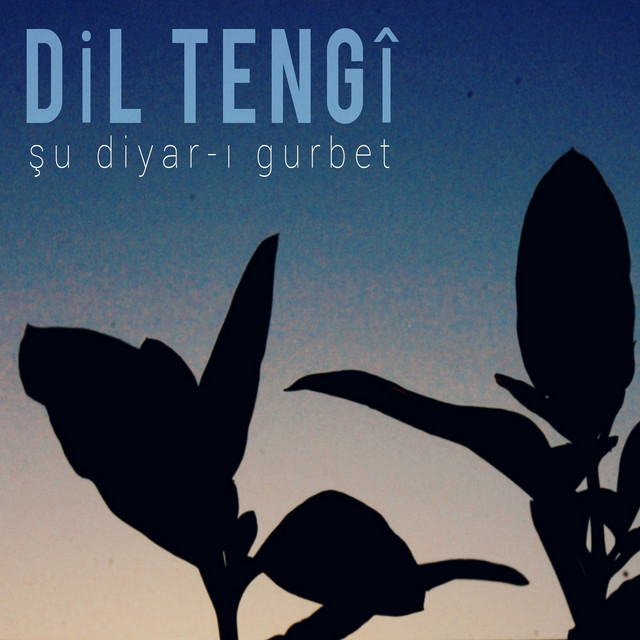 Şu Diyar-ı Gurbet cover art