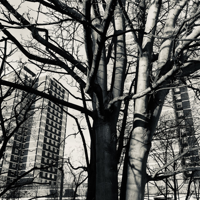 East Second