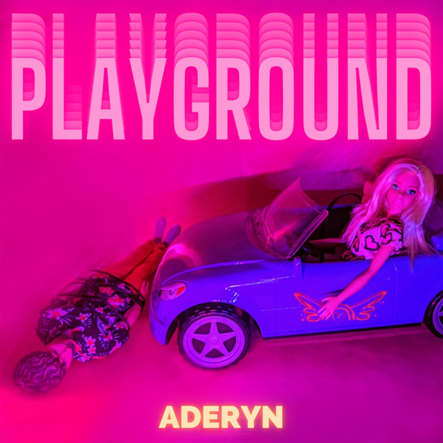 Playground cover