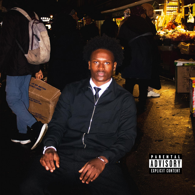 IN THE SHADOW cover art