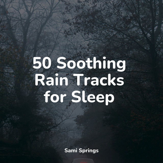50 Soothing Rain Tracks for Sleep - Album by Nature Sound Collection ...