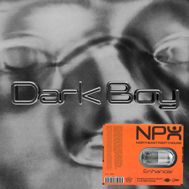 Dark Boy cover art