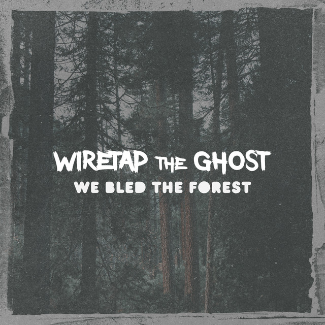 Emergency - song and lyrics by Wiretap the Ghost | Spotify