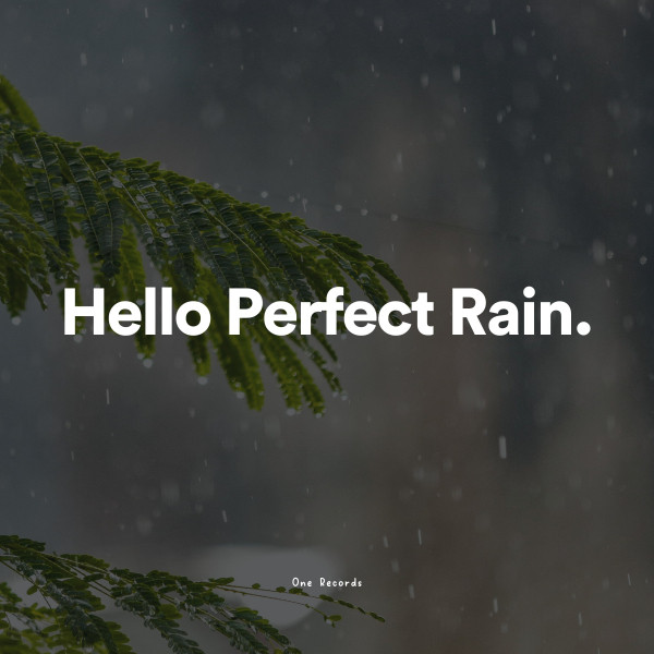 Hello Perfect Rain cover art