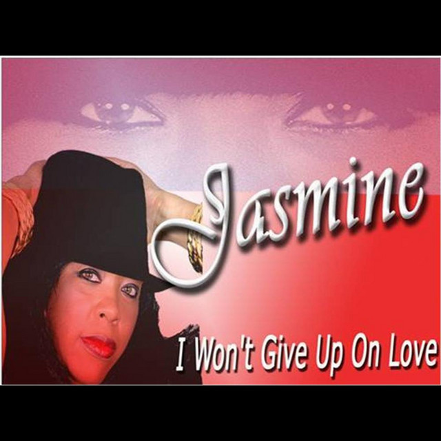 I Won't Give Up On Love