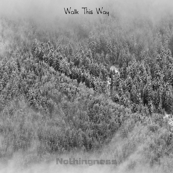 Walk This Way cover