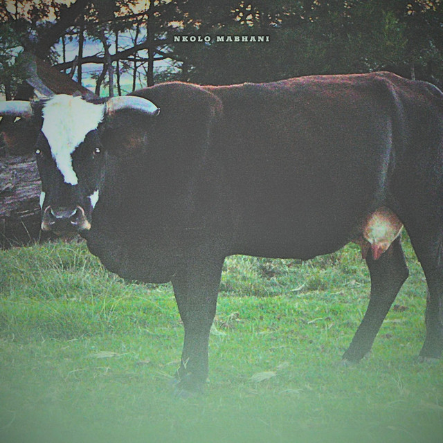 Kuhlwile