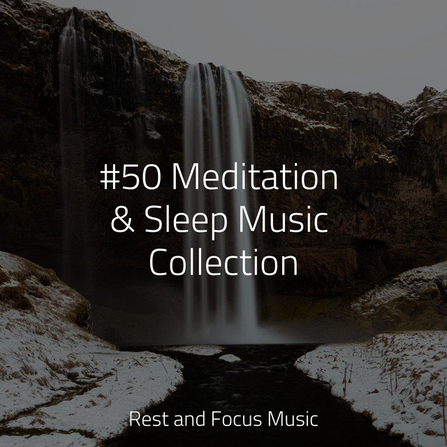 #50 Meditation & Sleep Music Collection - Album by Study Zone | Spotify