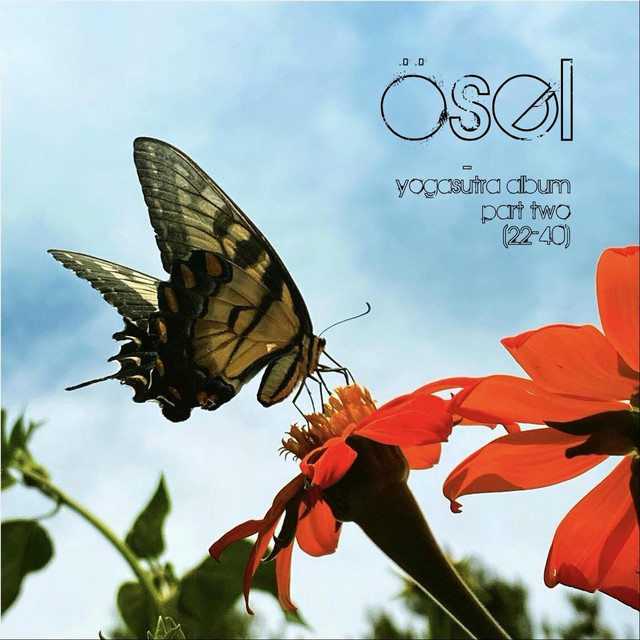 Yogasūtra Album, Pt. Two (22 - 40) cover art