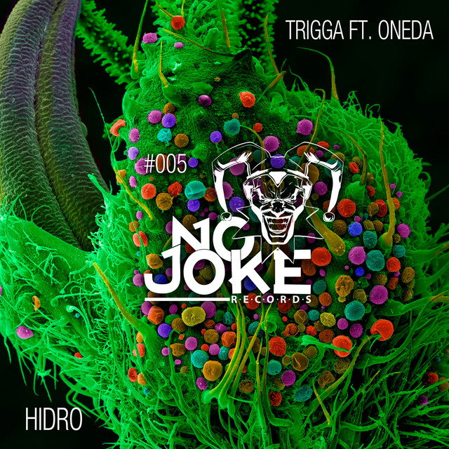 Hidro artwork