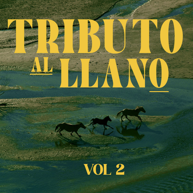 Tributo Al Llano Vol.2 (Instrumental) cover art