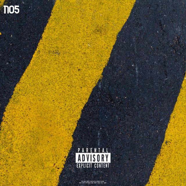 N05 cover