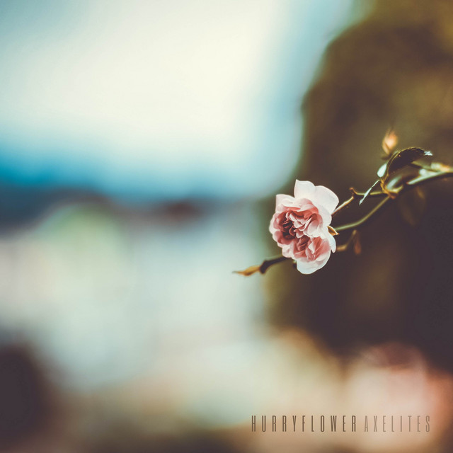 lofi
