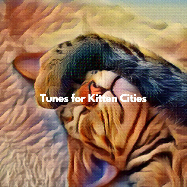 Tunes for Kitten Cities cover art