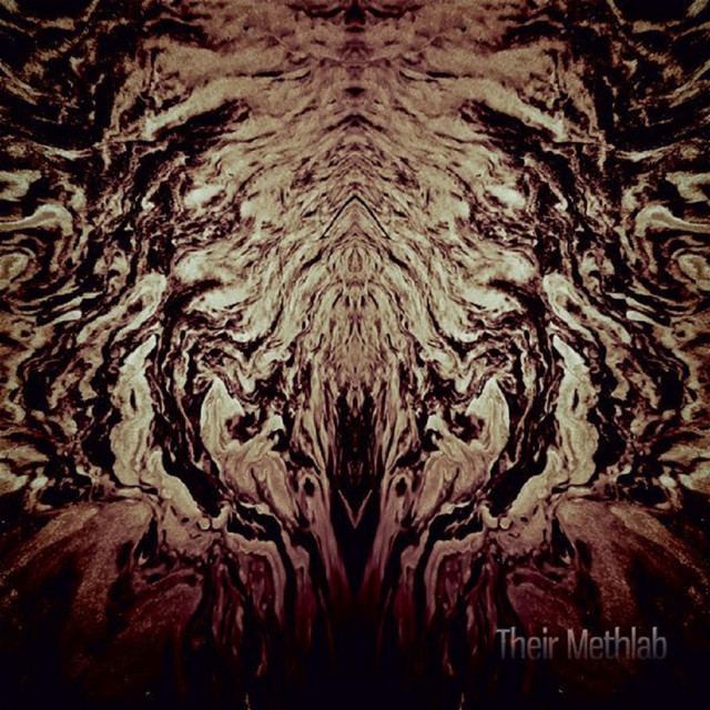 Their Methlab cover art
