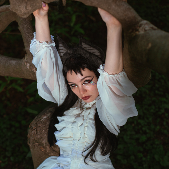 undefined album image