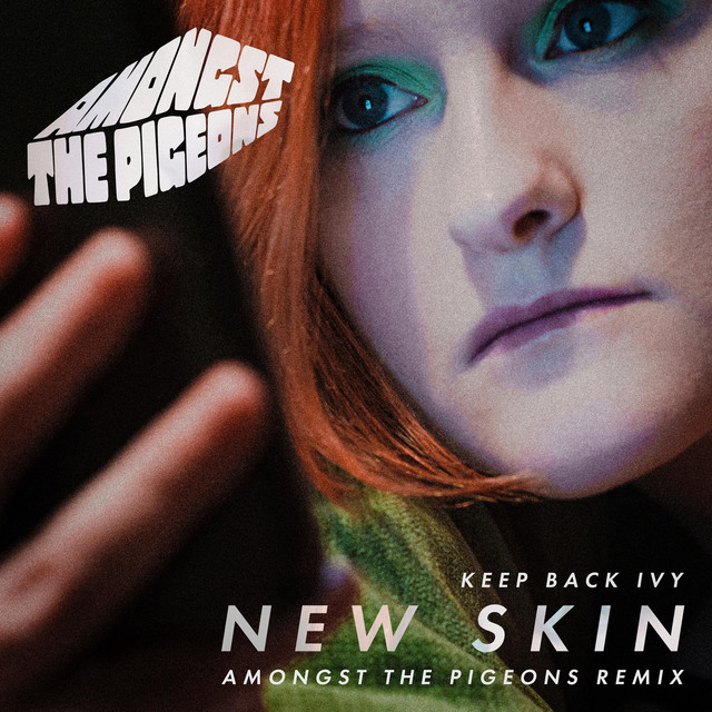 New Skin (Amongst The Pigeons Remix) cover