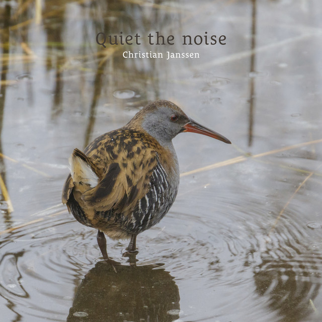 Quiet the noise album image