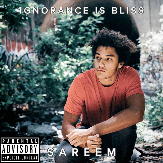 Ignorance Is Bliss cover art