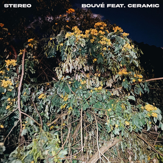 Stereo cover art