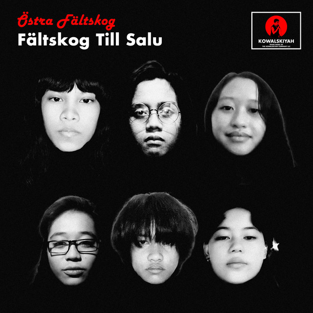 Fältskog Till Salu cover art