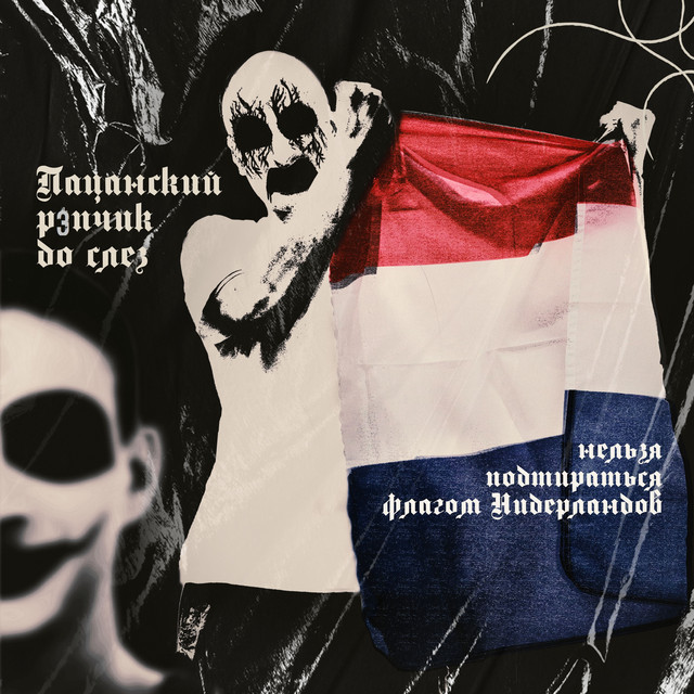 Нельзя подтираться флагом Нидерландов cover art