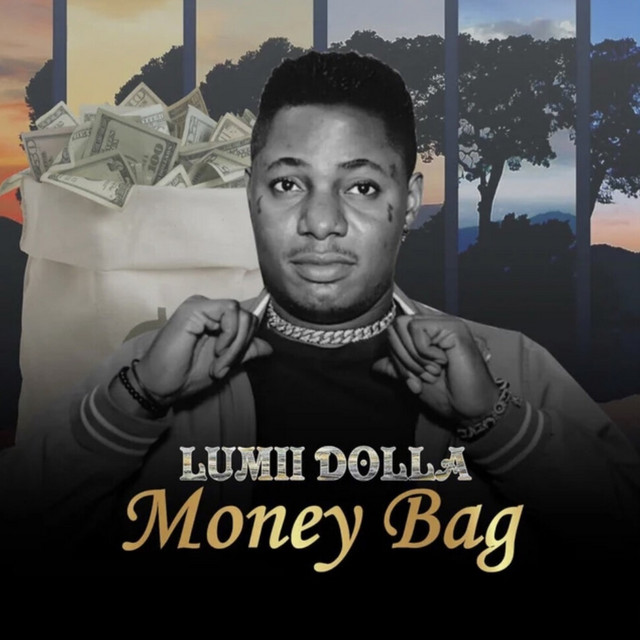 Money Bag - Single by Lumii Dolla | Spotify