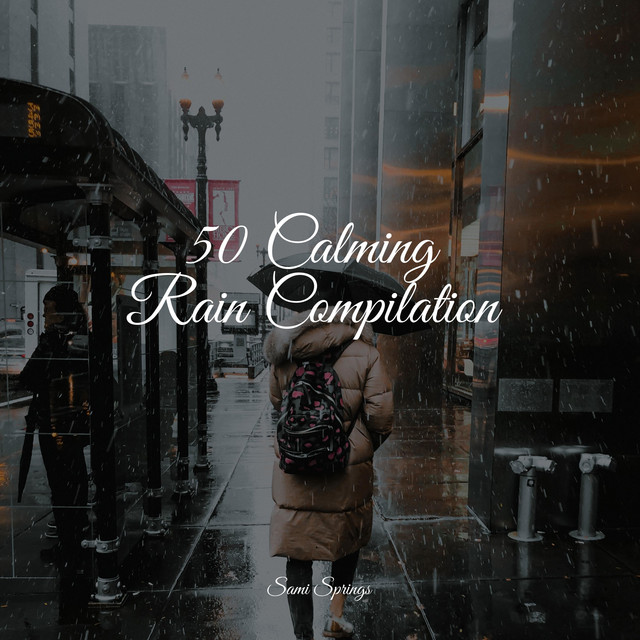 50 Calming Rain Compilation - Album by Sonidos de lluvia para dormir ...
