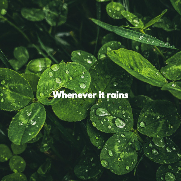 Whenever it rains - Album by Trabajar desde Casa | Spotify