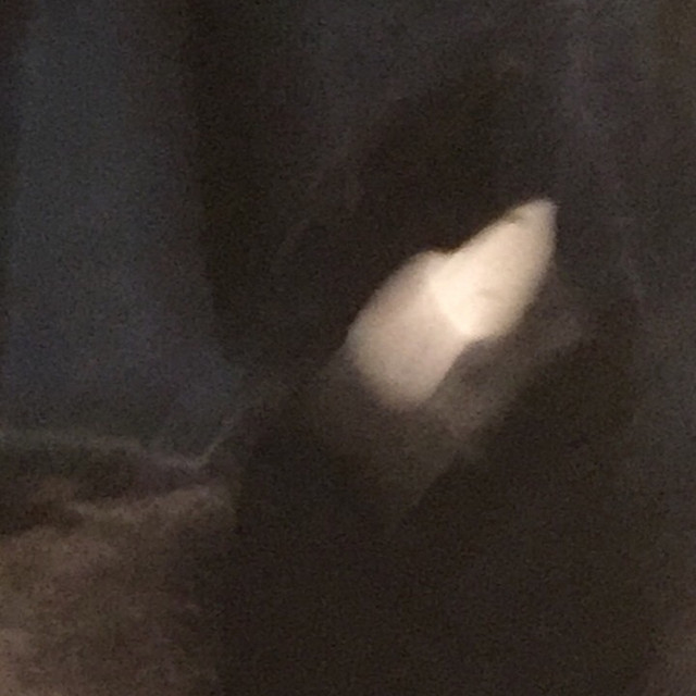ƃuᴉuɹnoɯ pooƃ cover art