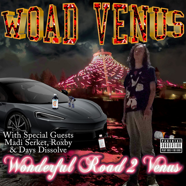 Wonderful Road 2 Venus cover art