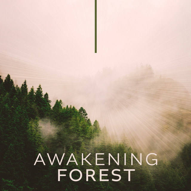 Awakening Forest: Morning Yoga for Abundance, Floating Energy Meditation, Nature Sounds cover