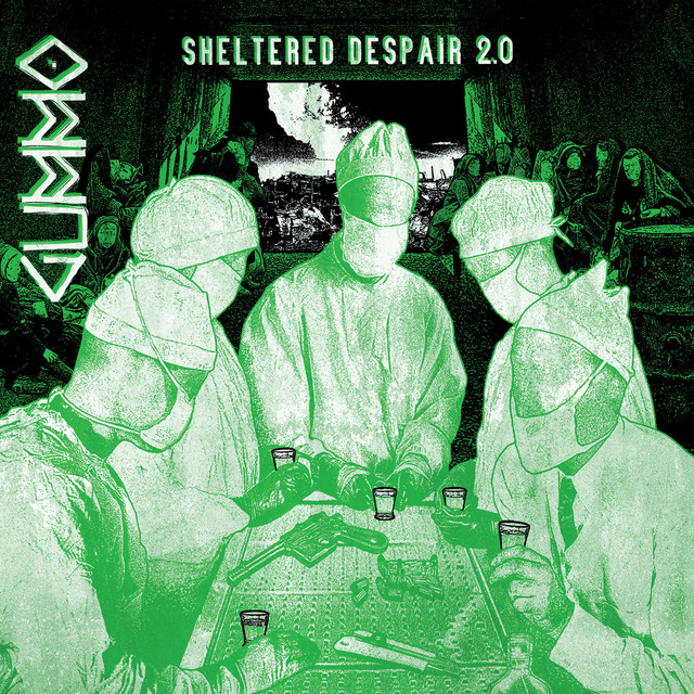 Sheltered Despair 2.0 cover art