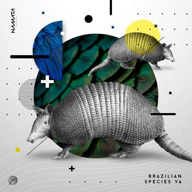 Fly cover art