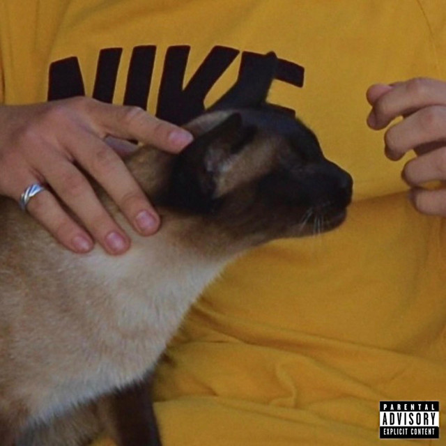 Damson cover art
